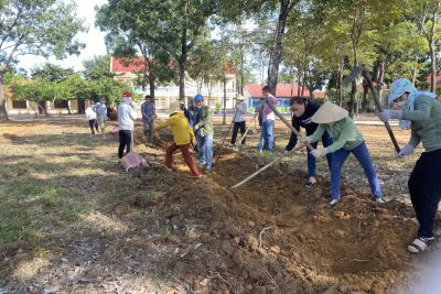 TRỒNG CÂY CHÀO MỪNG NGÀY NHÀ GIÁO VIỆT NAM 20/11